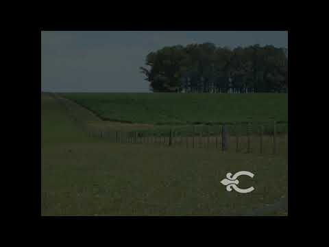 Video de YouTube - Estancia en Cerro Largo ref. 1159