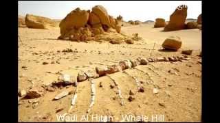 preview picture of video 'Wadi Al Hitan - La Valle delle Balene'