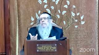 הרה"ג הרב וועכטר שליט"א ה' שבט תשפ"ד - ליקוטי שיחות חלק ט"ז שיחה י' שבט חלק א (הרב אברהם מנחם מענדל וכטר) - התמונה מוצגת ישירות מתוך אתר האינטרנט יוטיוב. זכויות היוצרים בתמונה שייכות ליוצרה. קישור קרדיט למקור התוכן נמצא בתוך דף הסרטון