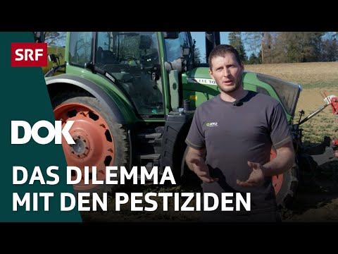Gefährliche Pestizide – Wie schädlich ist unser Essen für die Gesundheit? | Doku | SRF Dok