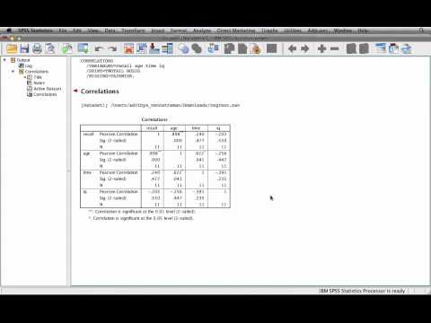 SPSS Tutorial: Correlations Analysis