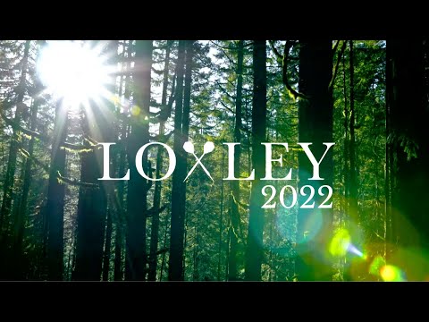 Loxley Darts presents: All 25 of our darts released in 2022! 🎯