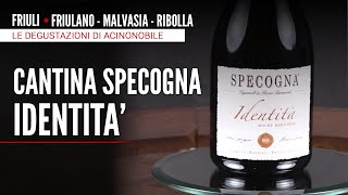 Villa Linda di Pietra del focolare: Vermentino ligure con Albarola, Eleganza, sapidità e tradizione tra mare e terrazzamenti