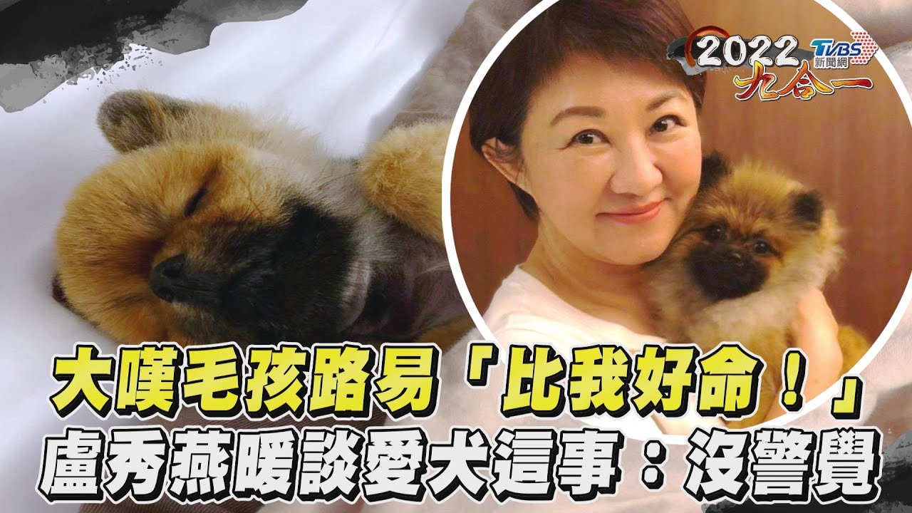 專訪花絮/狗在家稱王!盧秀燕靠愛犬紓壓:牠是市長的市長