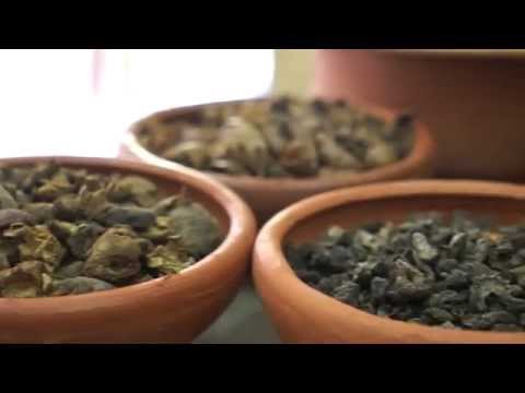 Ayurveda in Spring of Life