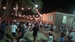 ΤΑ ΠΙΟ ΠΕΡΙΕΡΓΑ ΖΩΑ ΣΤΟΝ ΠΛΑΝΗΤΗ | Tsoulfas React 6 Watch HD Mp4 ...