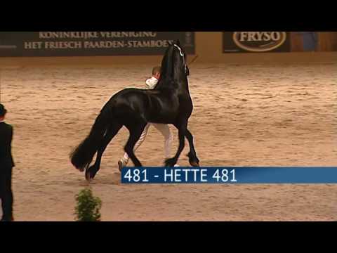Hengstenkeuring 2017 – Rubriek 06