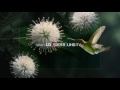 2016 LG SUPER UHD TV DOLBY VISION HDR