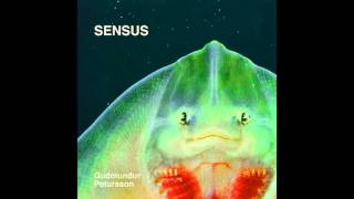 Gudmundur Petursson - Sensus video