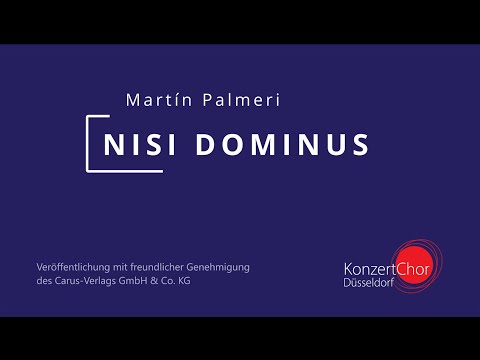 Martín Palmeri: Nisi Dominius