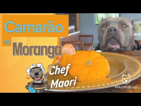 Camarão na Moranga para meus cães Maori e Nuhri