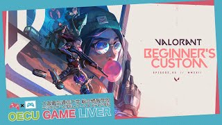 【Valorant】自称初心者カスタム