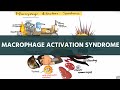 Macrophage activation syndrome