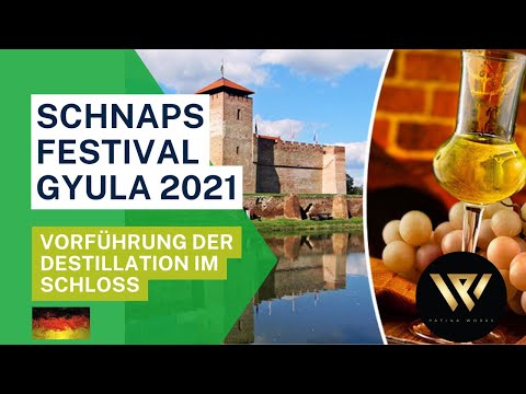 Kolonnen Brennerei-Brennvorführung im Schloss Gyula 2021