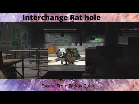 Interchange Oli Sniper spot | Escape From tarkov | Tarkov Tips | Guide!