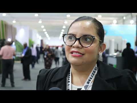 Meet the Belizean COP27 Delegation