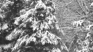 Sleigh Ride - Relient K