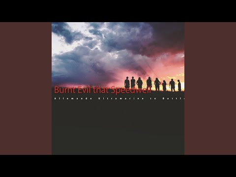 Echeveria from Lapageria