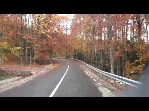 DJ763 Pietroasa - Padis | Judetul Bihor -- Octombrie 2013