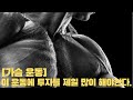 [추천운동] 가슴 운동 중 가장 많이 해야 할 운동!! 강력추천