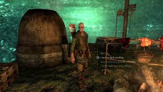 Skyrim Camp In The Sphere PS4 Mod