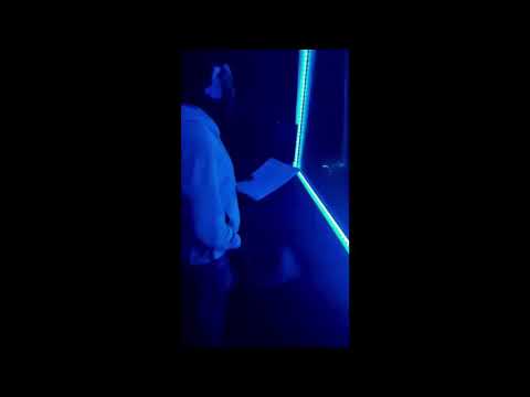 She know what she wants