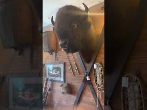 THE GREATEST STORE IN THE WORLD