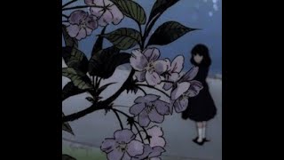 Cover art for Cherry Blossoms