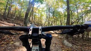 2nd run down Crunchy, first time doing downhill but was so much fun