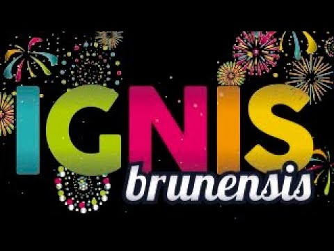 Ignis Brunensis 2020 - 1. Ohňostroj LIVE