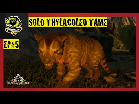 SOLO THYLACOLEO TAME - ARK Valguero EP#5