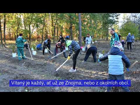 Novinky ze Znojma #8