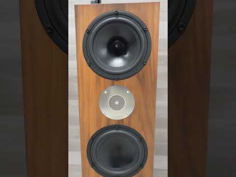 Spendor video