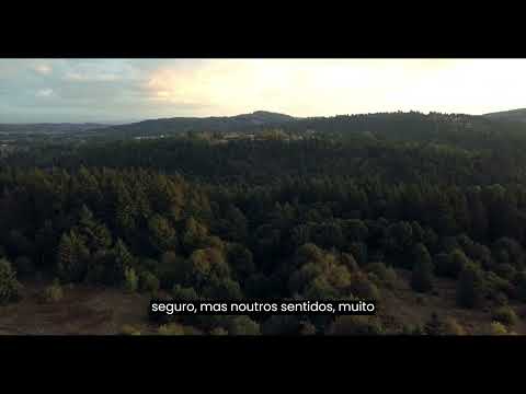 Devocional 09/10/23 - Manhã - Charles Spurgeon