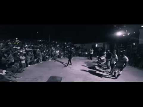 Palomita wildey 💞