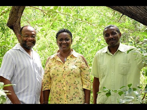 Kon hende i komunidat ta atendé ku bida - Extra Djasabra