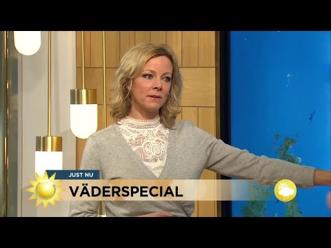 Nyårsvädret: här blir det stjärnklart på tolvslaget - Nyhetsmorgon (TV4)