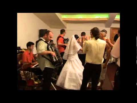 Nunta Negrilor-kef,kef,kef cu Fratii Milos.avi