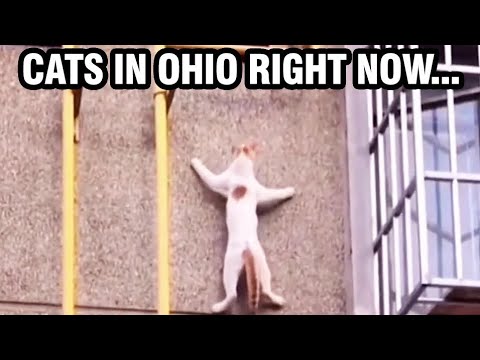 I LOVE THE INTERNET!!!🤣🤣🤣