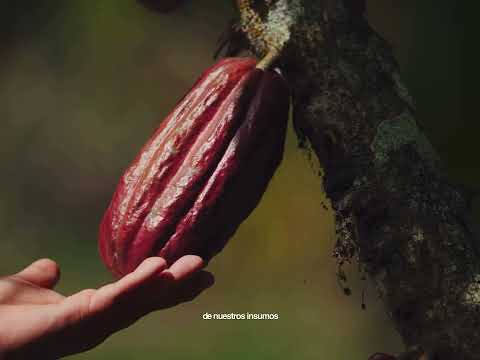 Spot | Sabor a Selva 2026 - Juanjui - San Martín