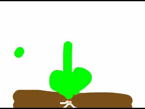 Spring Flowers by Hannah and Jiya