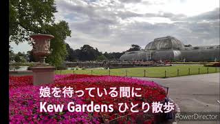 ロンドン王立植物園　Royal Botanic Garden Kew で夏の終わりの1人散歩
