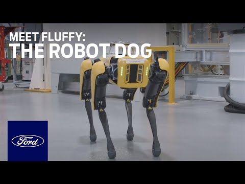 Fluffy, el BigDog de Ford