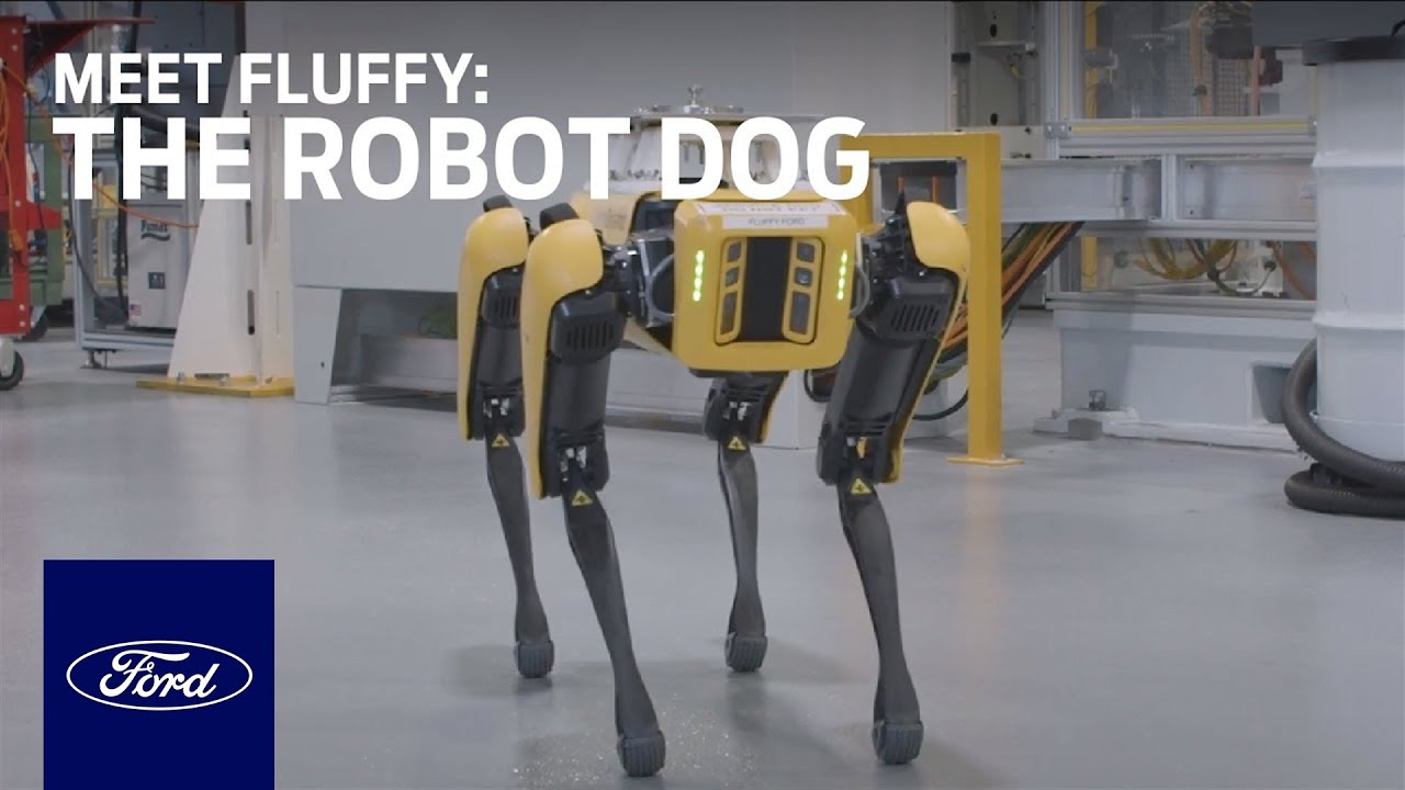 Meet Fluffy the Robot Dog | Innovation | Ford