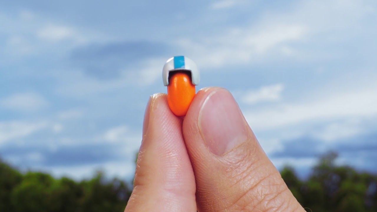 Tic Tac Little Adventures Fall