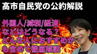 正直微妙高市自民党の公約を解説入れるべきかも解説