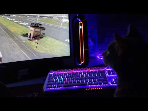 Ming watches iRacing