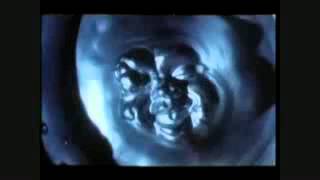 Necro - Burn The Groove To Death