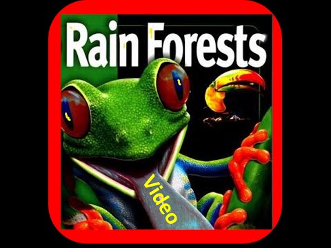 Rainforest  lesson for Kids