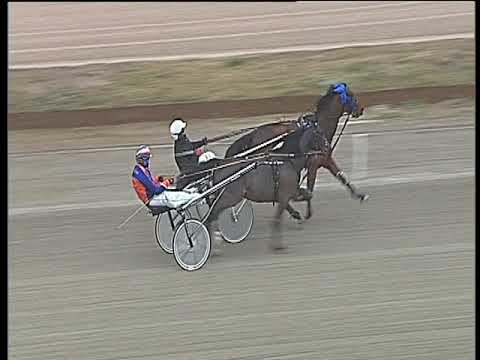 Trotto 15/12/2017 - 1ª prova di qualifica